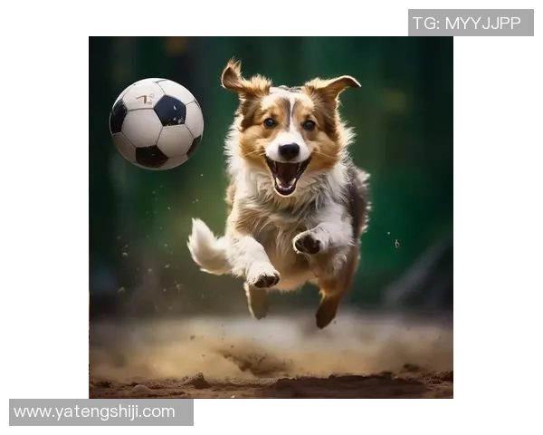 足球女星抱狗萌态尽显 温暖瞬间感动球迷心扉